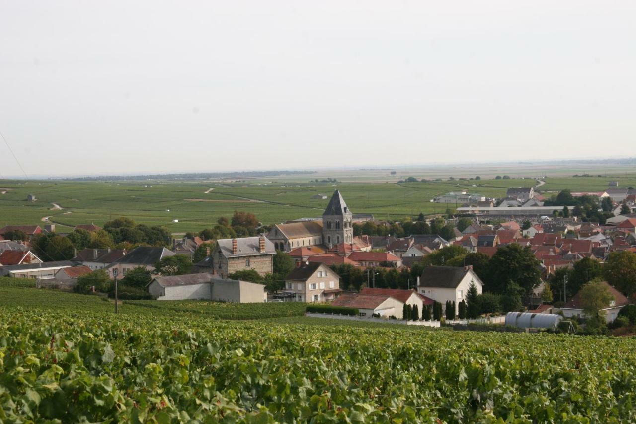 Blancs-Coteaux Demeure Saint Martin Bed & Breakfast エクステリア 写真